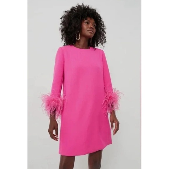 Tuckernuck Women's Hot Pink Feather Mod Mary Dress Size Small Pockets